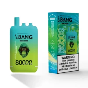 Bang Leader 80000 Puffs - Raspberry Mojito Peach Ice/Strawberry Watermelon/Kiwi Passion Fruit Guava