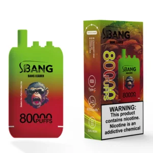 Bang Leader 80000 Puffs - Strawberry Kiwi/Peach Ice/Cherry Cola