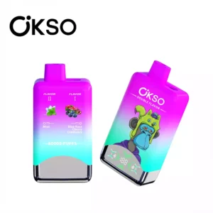 OKSO 60000 Puffs - Blue Razz Cherry/Mint